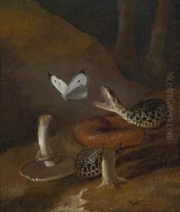 A Sous-bois Still Life With A Snake