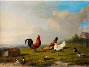 Hahn Mit Seinen Hennen Und Kuken An Einer Futterschale