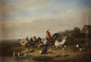 Poultry On A Riverbank