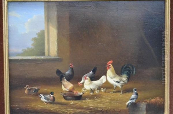 Poulets - view 1