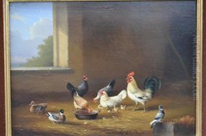 Poulets by Franz van Severdonck