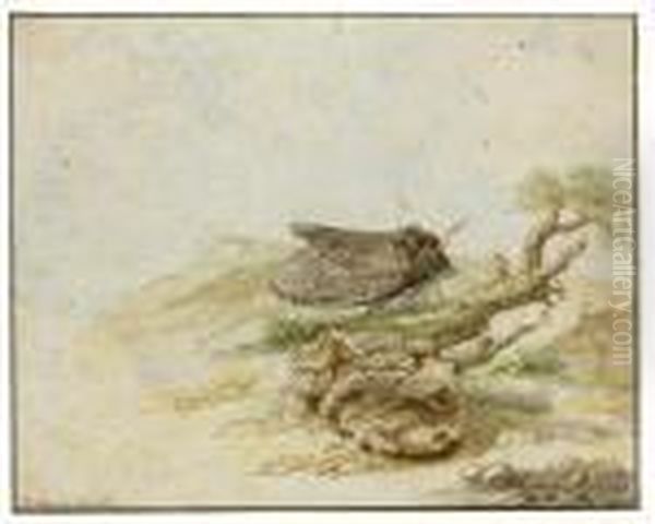 Recto: A Moth On A Branch - view 1