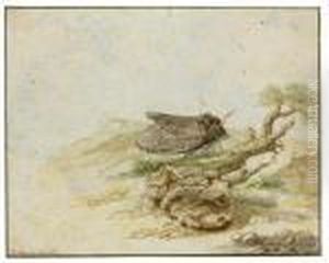 Recto: A Moth On A Branch by Rochus Van Veen