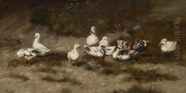 Ducks On The Bank Of A Stream - view 1
