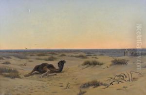 Wustenlandschaft Im Abendrot Mit Liegendem Kamel