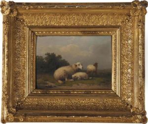 A Sheep And Lambs Resting In A Pasture A Sheep And Lambs Resting In A Pasture