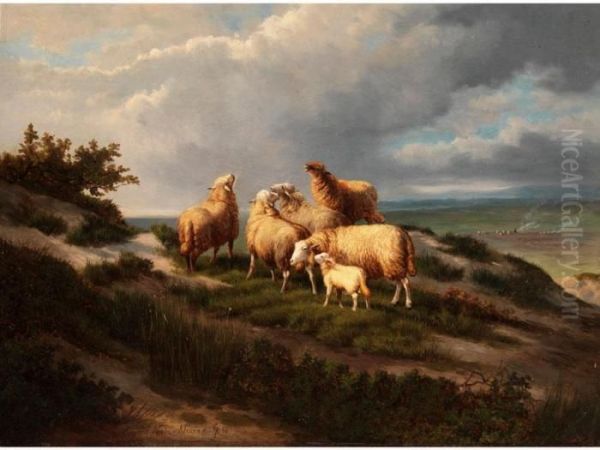 Schafgruppe Auf Einem Heidehugel - view 1