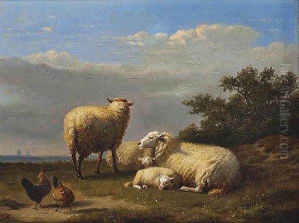 Sheep And Poultry In Pasture - view 1