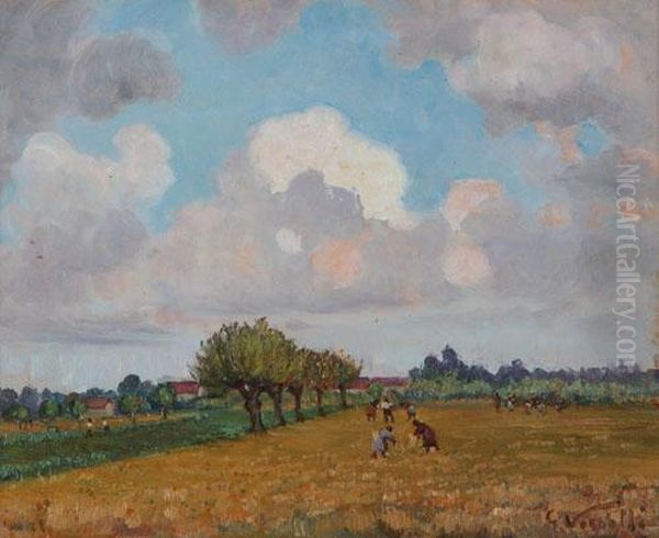 Mietitura - view 1