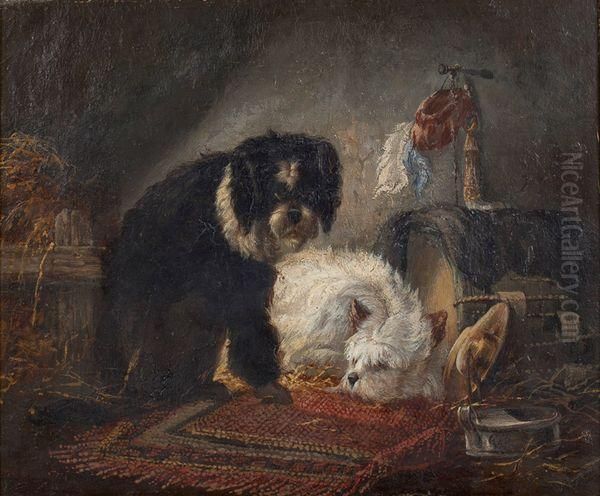 Chien Dans Un Interieur - view 1