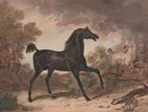 Le Cheval Echappe Le Cheval Echappe