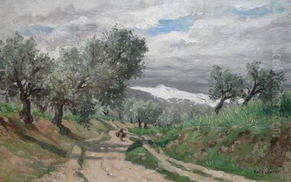 A Dos De Mulet Sur La Route, A Travers Les Oliviers - view 1