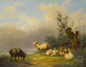 Landschaft Mit Ziege Und Schafen