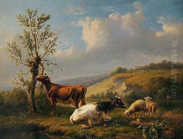 Weidelandschaft Mit Kuhen Und Schafen - view 1