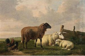Sheep Resting In A Landscape Sheep Resting In A Landscape
