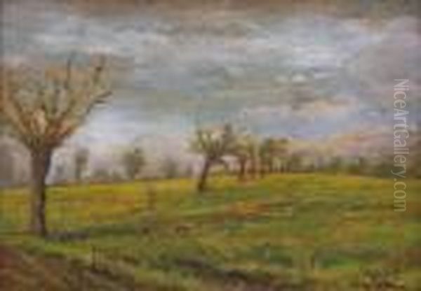 Verso Retorto - view 1