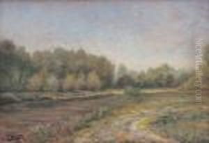 Il Lemme Entra Nell'orba by Cesare Viazzi