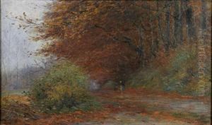 Chemin Forestier by Emmanuel Vierin