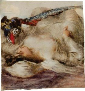 Giovane Donna Distesa E Uccello Multicolore Giovane Donna Distesa E Uccello Multicolore