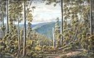 Forest Cape, Otway Ranges by Eugene von Guerard