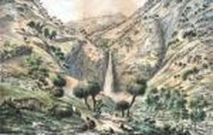 Fall Of The First Creek Near Glen Osmond