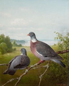 Pigeons by Ferdinand Wilhelm Von Wright
