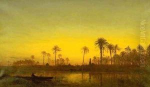 Twilight at the bords of the Nile near Damanhour