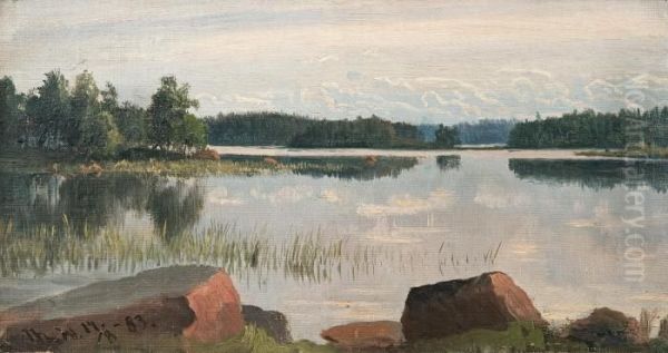 Summer Evening - view 1