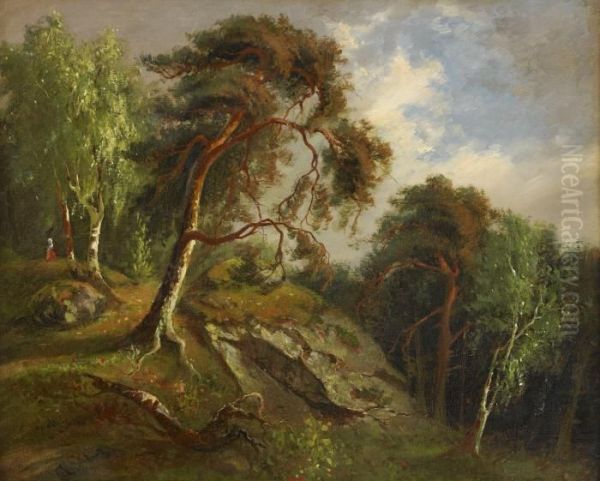 Landskap Fran Kolmarden - view 1