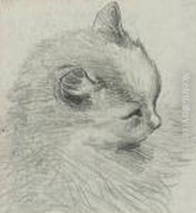 Study Of A Cat by Louis Wain
