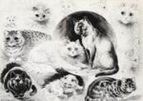 Varieties Of Cats - view 1