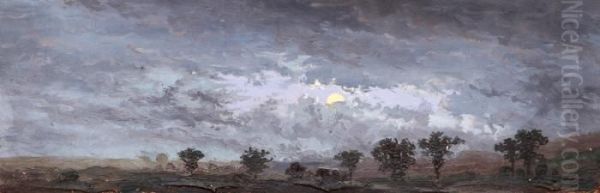 Moonlit Night - view 1