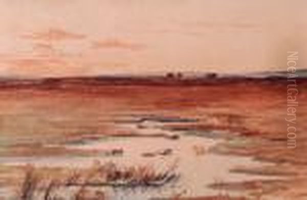 Wetland - view 1