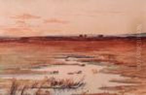 Wetland by Anton Waldhauser