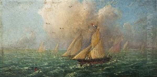 A Sail Boat At Sea - view 1