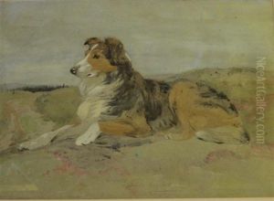 Reclining Collie Reclining Collie
