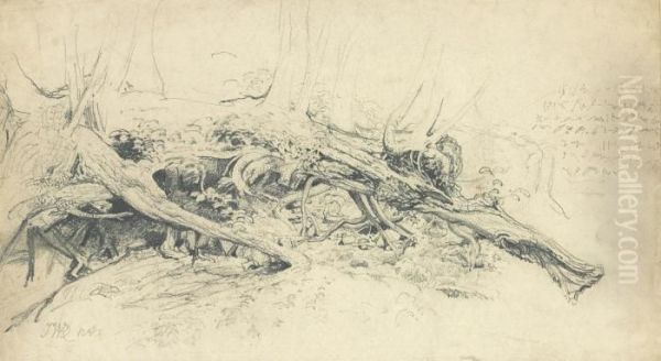 A Fallen - view 1