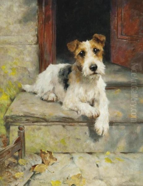 Waiting For Master, A Wire Coated Fox Terrier - view 1