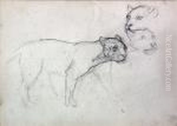 Panthers - view 1