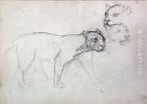 Panthers