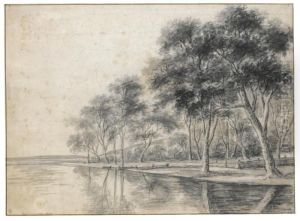 A Wooded Riverbank A Wooded Riverbank