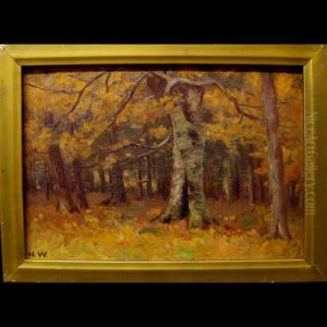 Autumn Woodland Study