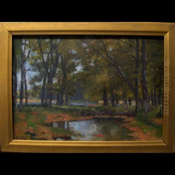Forest Pool - view 1