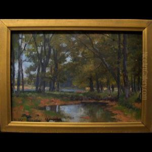 Forest Pool
