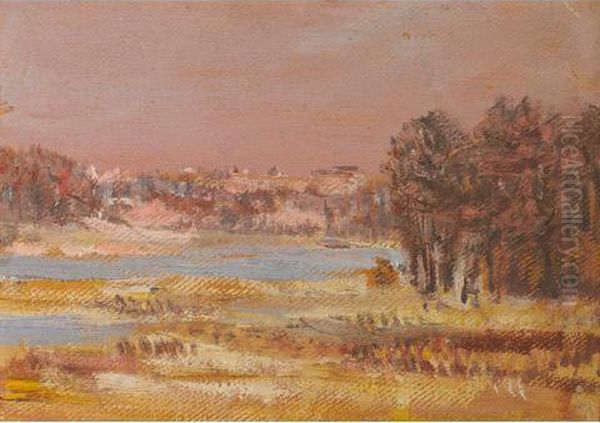 Looking Towards Galt From Wilkes Flat - view 1