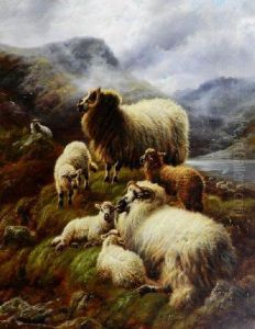Highland Sheep And Lambs By A Loch