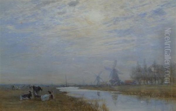 Cattle Beside A Canal - view 1