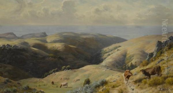 Cattle Grazing In Marin County - view 1