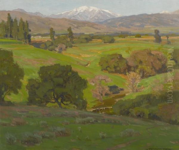 A Vista Towards Mt. Baldy - view 1