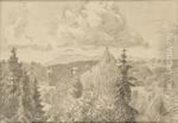 Landskap I Baerum, Kolsastoppen Og Skaugumasen 19 - view 1